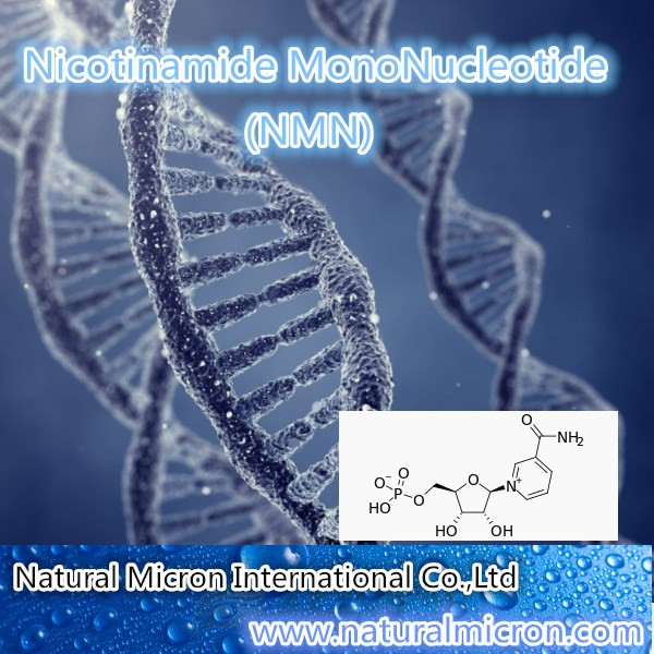 Nicotinamide MonoNucleotide（NMN）