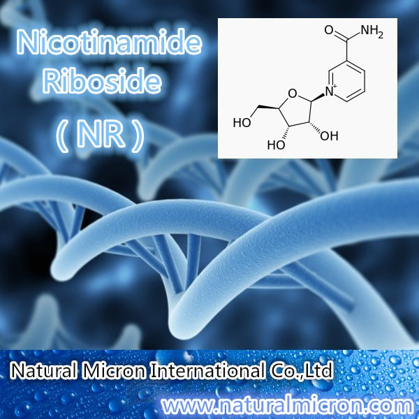 Nicotinamide Riboside（NR）